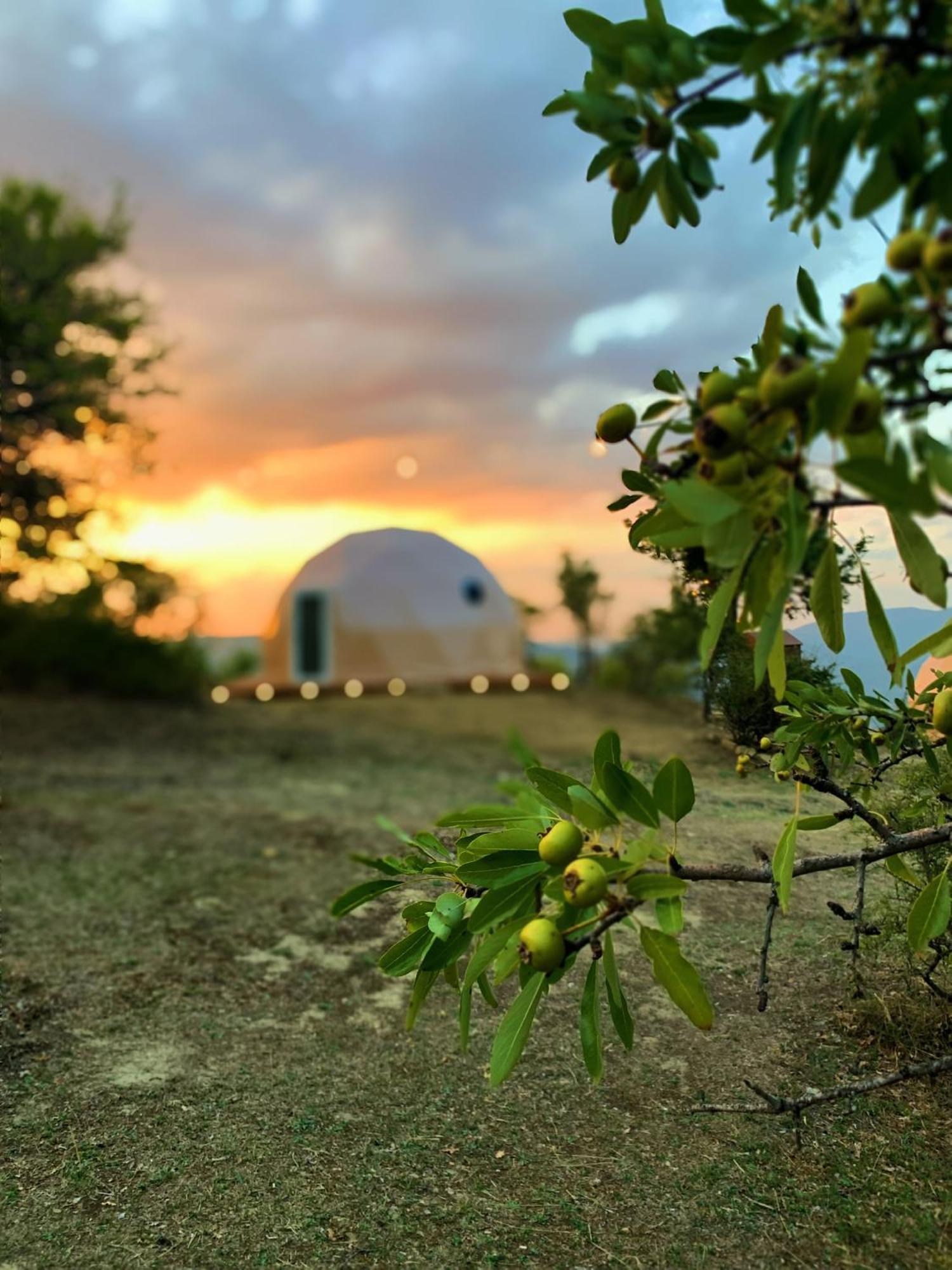 Aura - Glamping Experience Hotel Accettura Exterior photo
